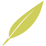 Pale green feather image