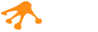 Orange frog right footprint