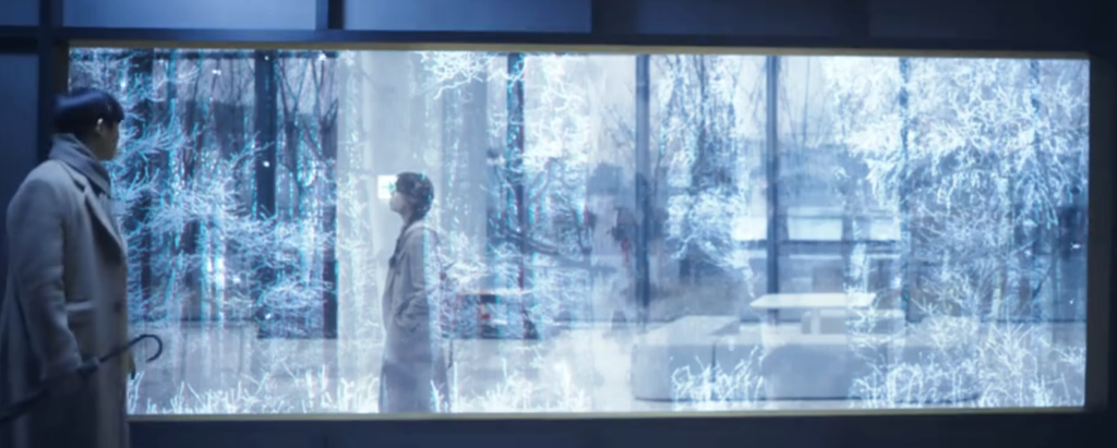 User’s profile image